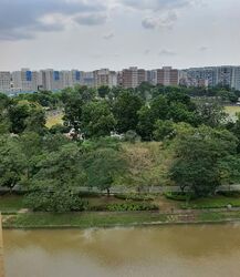 Blk 418 Pasir Ris Drive 6 (Pasir Ris), HDB Executive #600334321
